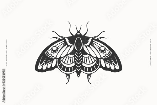 A detailed hand-drawn black and white illustration of a moth with intricate wing patterns, ideal for use in tattoo designs, nature-themed art, and vintage decor.