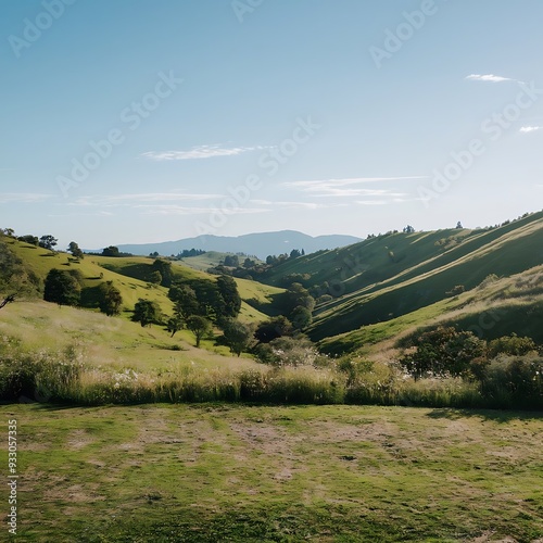 Wallpaper Mural A scenic view of rolling green hills under a clear blue sky, with patches of wildflowers and a gentle breeze creating a sense of calm and openness. Torontodigital.ca