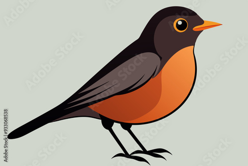 Robin  vector art and illustration