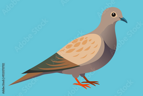 Dove vector art and illustration photo