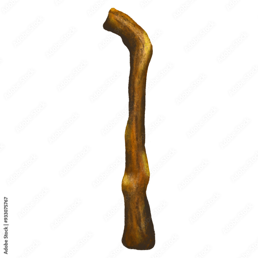 Walking wooden stick isolated illustration Walking wooden stick isolated illustration