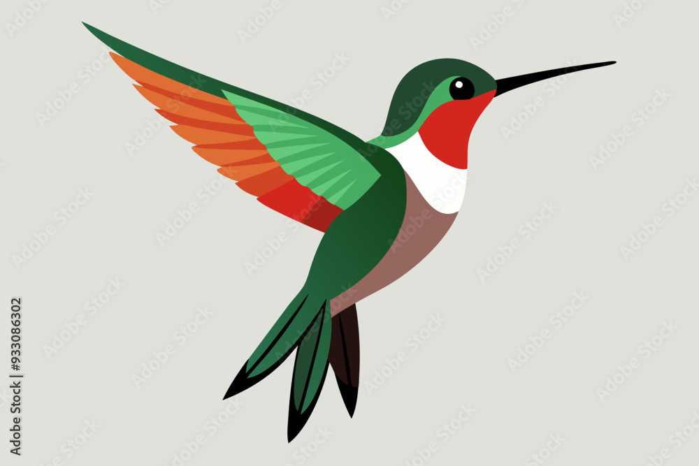 Humming bird vector art and illustration Humming bird vector art and illustration