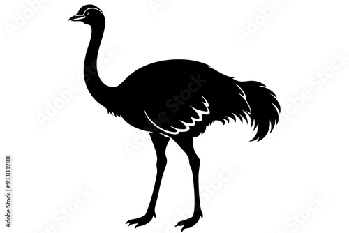 Ostrich Bird  vector art and  illustration  photo