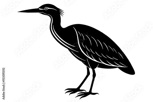 Bittern vector art and illustration photo