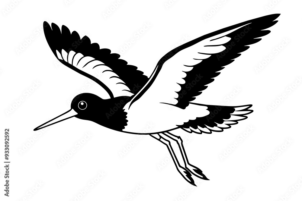 Obraz premium American Oystercatcher bird vector art and illustration