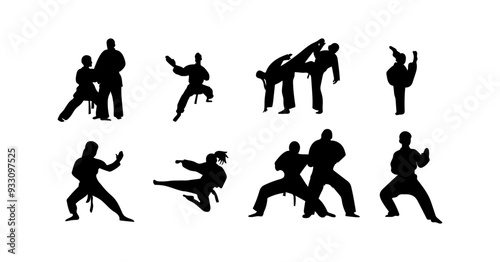 vector illustration of karate martial arts silhouette