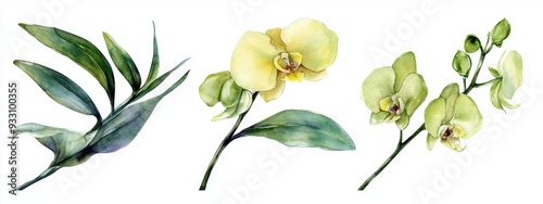 Green orchid botanical flowers Isolated wild spring leaves and wildflowers Watercolor illustration background set Aquarelle fashion drawing isolated Square frame border ornament