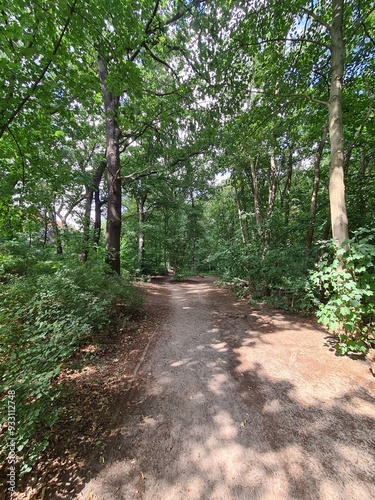 nature path in the Plänterwald Forest in Berlin Treptow/Köpenick