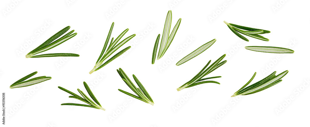 Falling rosemary leaves isolated on white background Falling rosemary leaves isolated on white background