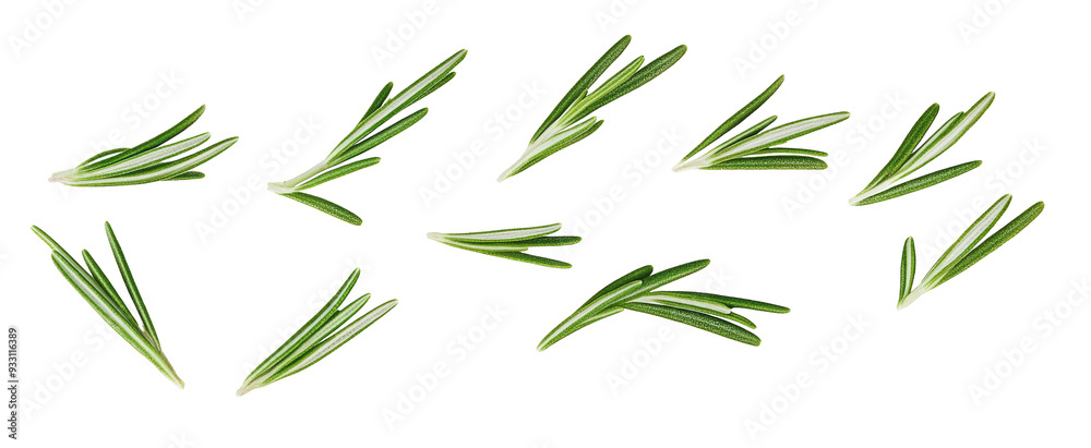 Naklejka premium Falling rosemary leaves isolated on white background