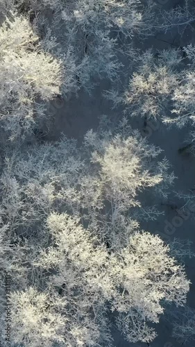 Wallpaper Mural Aerial view of mountain during winter Torontodigital.ca