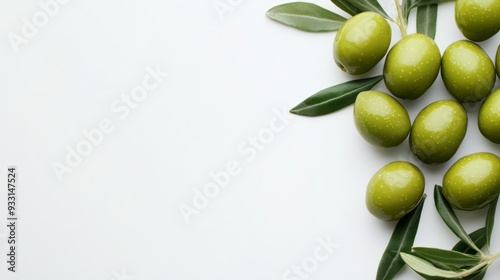 Green olives on the white background