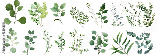 Mix of herbs and plants vector big collection. Juicy eucalyptus, green plants and leaves Transparent background png