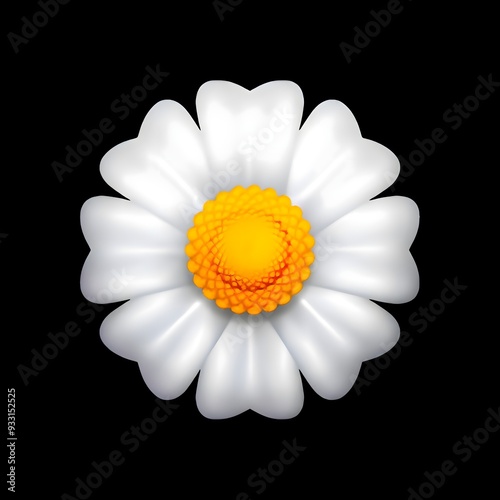 Daisy Flower

