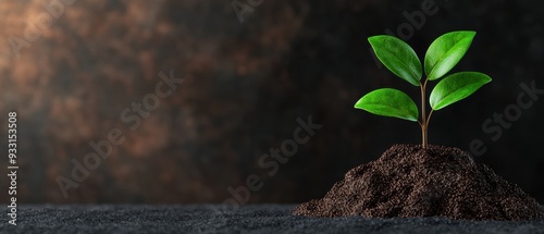 Obraz na płótnie Secure Your Legacy: Animated of Charitable Giving and Estate Planning with Copy Space for Text w salonie