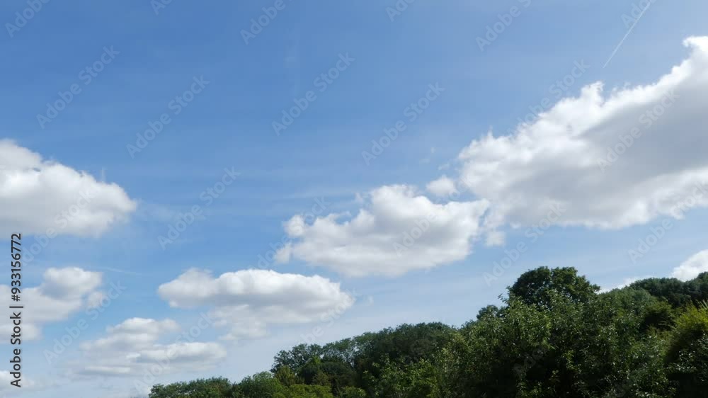 Timelapse of clouds in the wind in a blue sky over a forest. Sunny day Timelapse of clouds in the wind in a blue sky over a forest. Sunny day