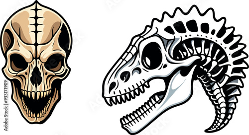 set teschi di dinosauri 01