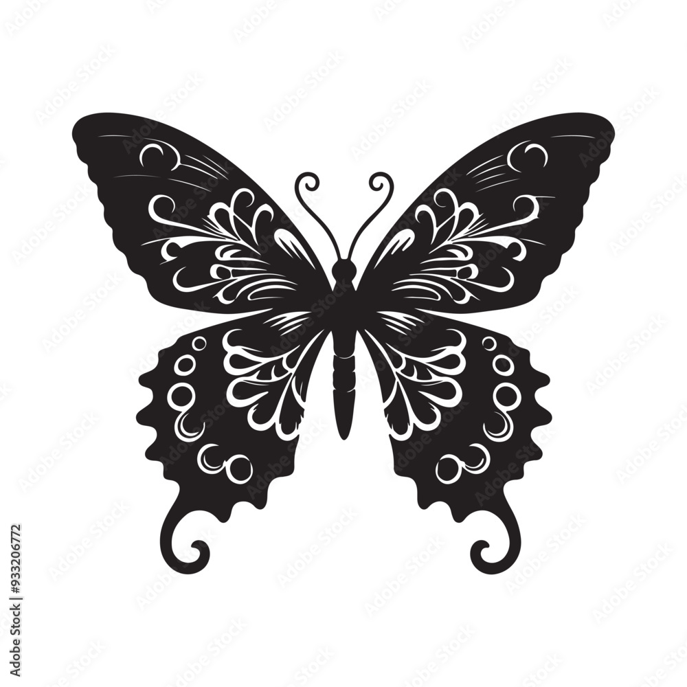 black and white butterfly black and white butterfly
