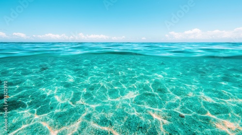 Pristine Marine Sanctuary: Crystal-Clear Waters Unveiling Hidden Gems | Stunning 8K High Detail Landscape with Copy Space