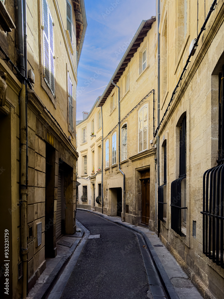 Fototapeta premium How to Enjoy the Scenic and Historic Avignon Village in France