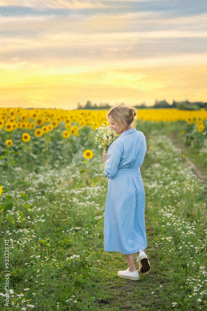 Fototapeta premium happy woman with a bouquet of daisies walking along a dirt road in a field of sunflowers