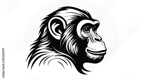Monkey Head Sketch Style - Animal Face Portrait Mammal
