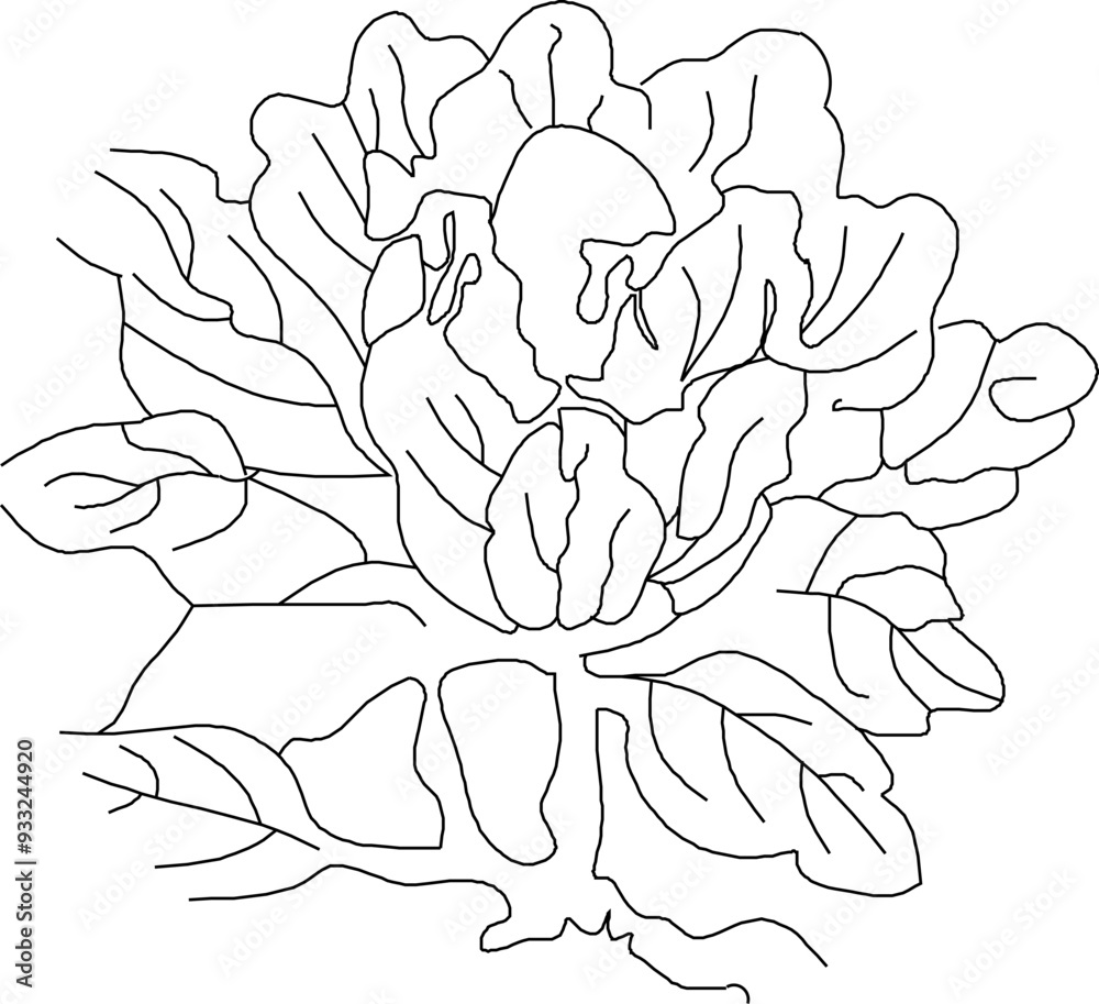 Fototapeta premium Sketch vector illustration silhouette design ornate icon logo symbol antique ethnic vintage ornament modern traditional chinese