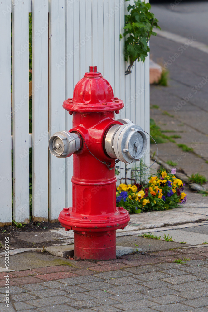 Red fire hydrant on a city street in Reykjavik Red fire hydrant on a city street in Reykjavik