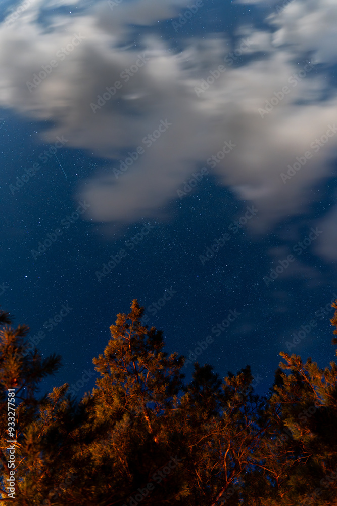 Fototapeta premium starry night sky, moonlight, floating clouds