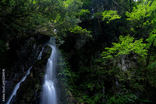 美しい滝のある風景