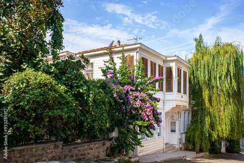 Old historical island house standing on the road between trees, flowers in the summer, prince islands, adalar, istanbul photo