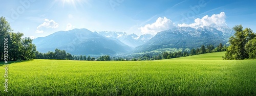 Wallpaper Mural  A lush green field with trees in the foreground and mountains and a bright blue sky with clouds overhead Torontodigital.ca