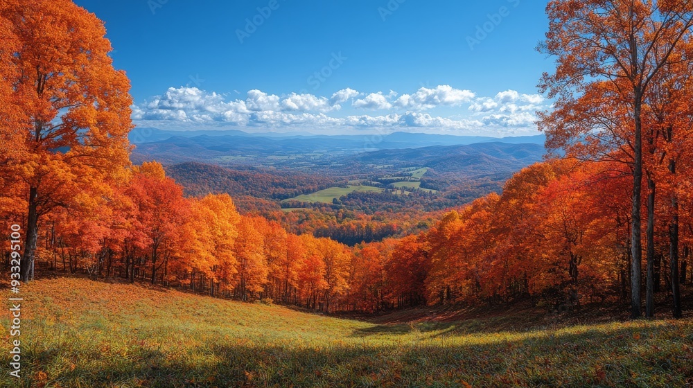 Fototapeta premium Vibrant autumn colors in a valley showcasing trees and mountains under a clear blue sky