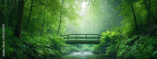A tranquil forest scene with a small wooden bridge over a gentle stream, surrounded by soft, green foliage