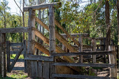 Old cattle yard chute, aged timber rural landscape, cow livestock farm farming, Queensland, Australia