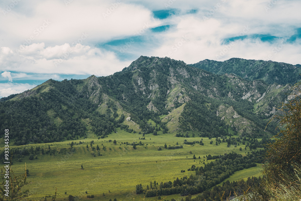 Obraz premium Lush green valleys contrast with the rocky peaks of the Altai Mountains on a cloudy day, showcasing the region's natural beauty and tranquility