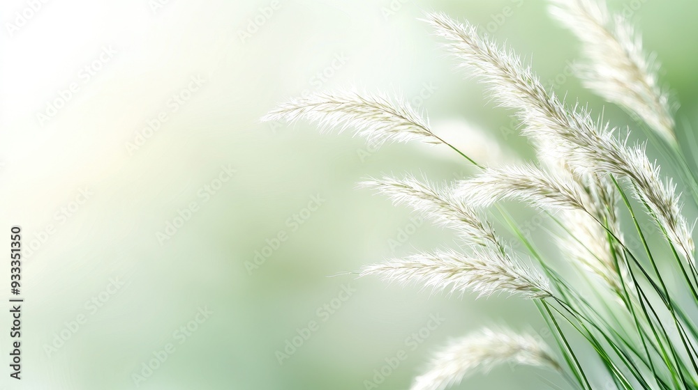 Delicate grass swaying gently in the breeze, creating a serene and tranquil natural atmosphere. Delicate grass swaying gently in the breeze, creating a serene and tranquil natural atmosphere.