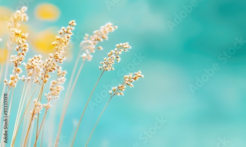 Delicate grass swaying gently against a soft, turquoise background, creating a serene and calming natural atmosphere.