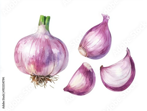 Watercolor Illustration of Whole and Sliced Red Onion A realistic watercolor painting depicting a whole red onion with several peeled slices, showcasing the vibrant colors and textures