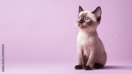 Playful Burmese Kitten in Lavender Serenity, a sleek-coated kitten perched gracefully in a refreshing, clean space, surrounded by a soft lavender backdrop, inviting calmness.