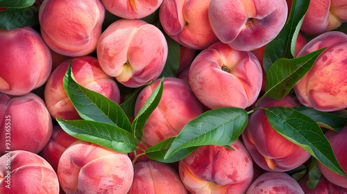 Lush Harvest of Ripe and Juicy Pink Peaches with Green Leaves photo