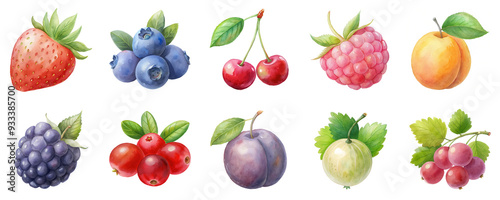 Colorful berries and fruits in a detailed watercolor illustration set. Cute icons of harvest with vibrant colors isolated on transparent background.