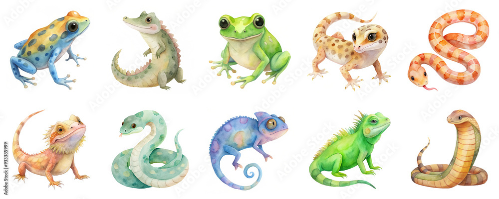 Fototapeta premium Reptiles and amphibians in detailed watercolor illustration set. Each creature is with vibrant colors and isolated on transparent background.