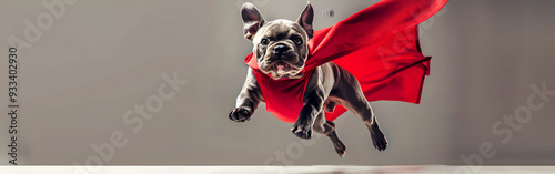 Heroic Superhero Dog in Red Cape Jumping Against Grey Studio Background photo