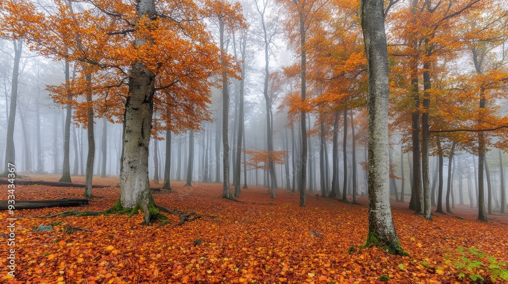 A forest with many trees and leaves on the ground, AI A forest with many trees and leaves on the ground, AI