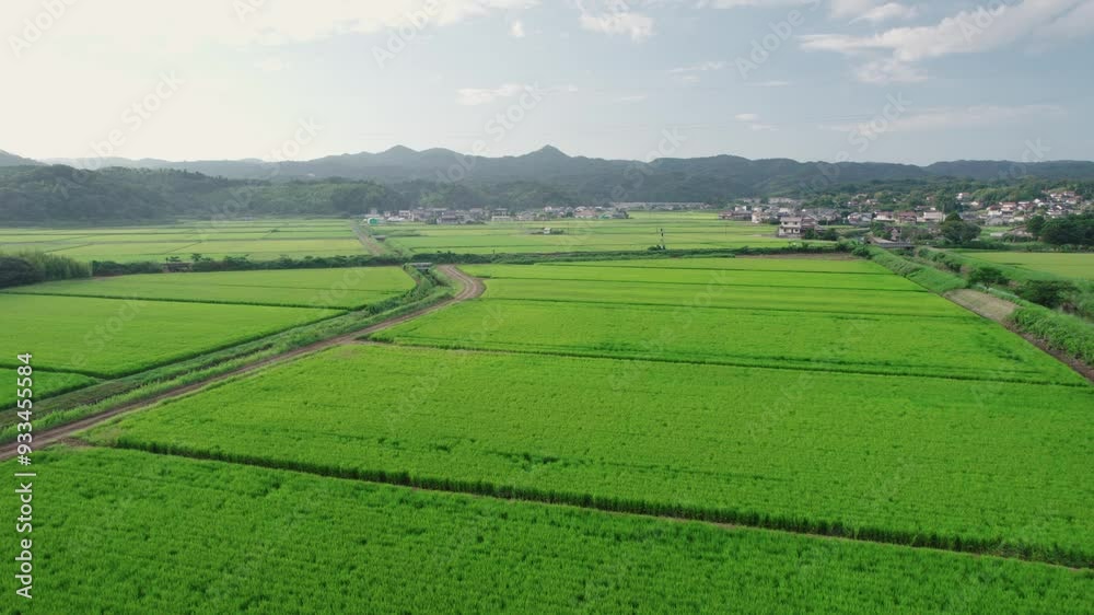 田園風景と線路
