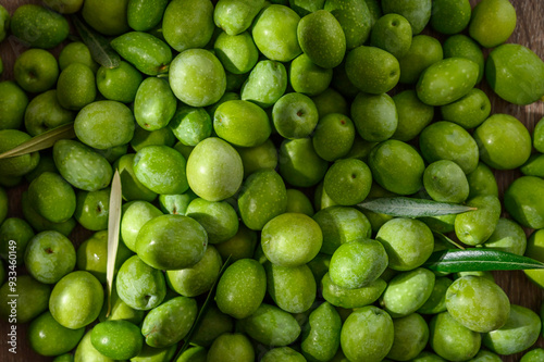 Fresh Arbequina Olives Close Up photo