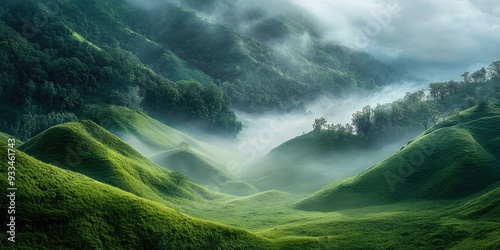 Misty green hills with trees and sunlight.