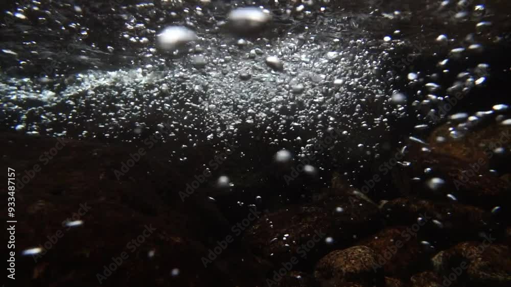 泡立つ渓流の水中映像 スローモーション
泡立つ渓流の水中映像 スローモーション