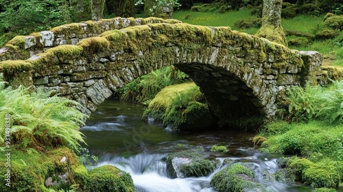 Ancient Stone Bridge Covered in Moss Arching Over a Bubbling Stream, with Ferns and Wildflowers Growing Along the Banks. AI generated illustration